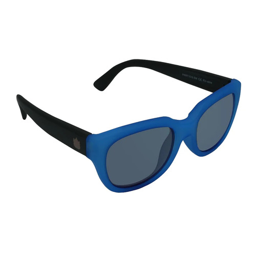 Blue And Black Frame Smoke Lens Sunglasses