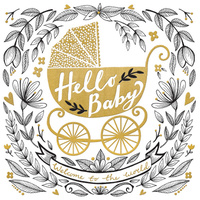 Hello Baby Welcome To The World