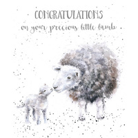 Congratulations On Your Precious Little Lamb