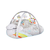 Silver Lining Cloud Activity Gym