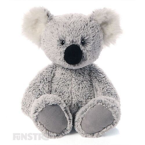 William Koala