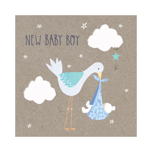 New Baby Boy Mini Card