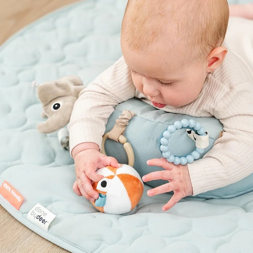 Activity Toy | Tummy Time Pillow | Playground [Blue]