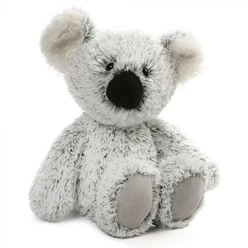 Koala Bear - William