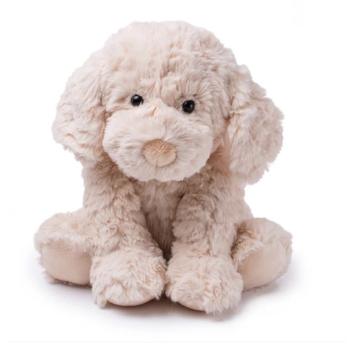 Monty the Labradoodle