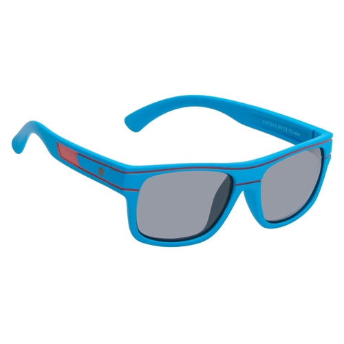Blue And Red Frame Smoke Lens Sunglasses