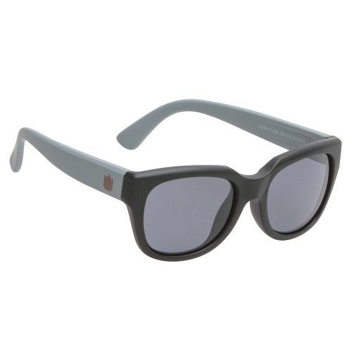 Grey And Black Frame Smoke Lens Sunglasses