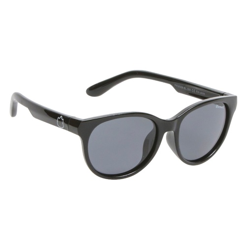 Black Frame Smoke Lens Sunglasses