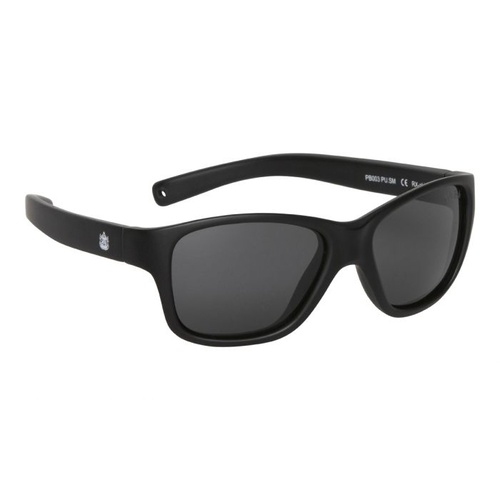 Matt Black Frame Smoke Lens Sunglasses