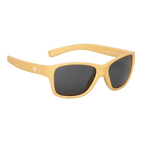Orange Frame Smoke Lens Sunglasses