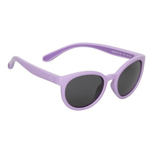 Purple Frame Smoke Lens Sunglasses