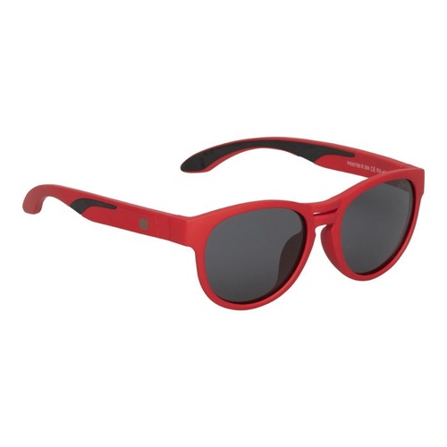 Red Frame Smoke Lens Sunglasses