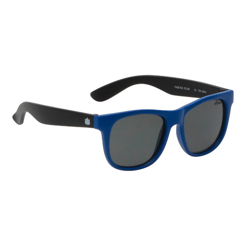 Blue And Black Frame Smoke Lens Sunglasses