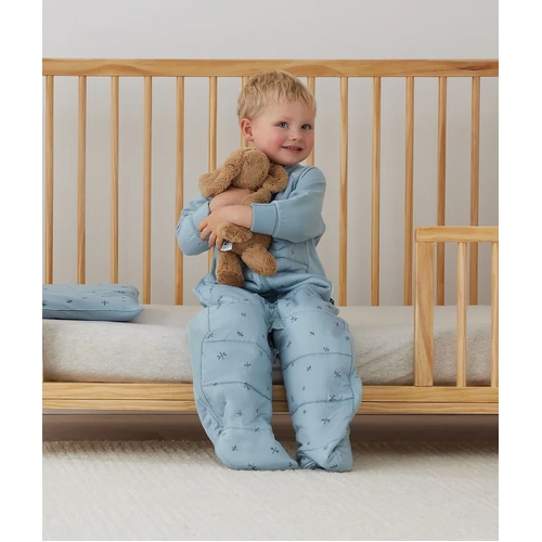 Sleep Garment | Sleeved Sleep Suit Bag | Cotton [2.5 TOG, Dragonflies]