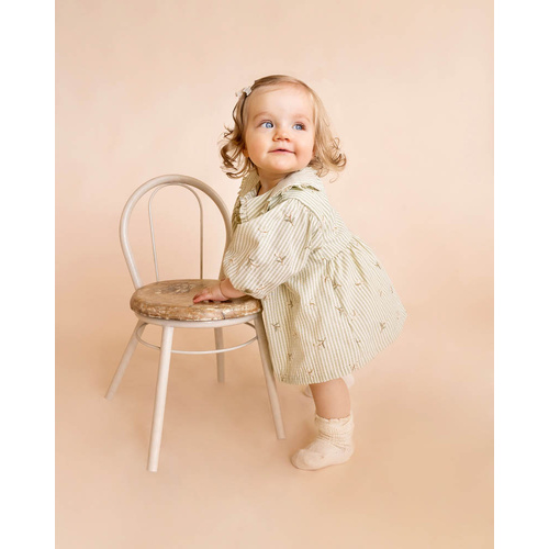 Dress | Embroidered Overlay | Light Green Stripe Orchard Bloom