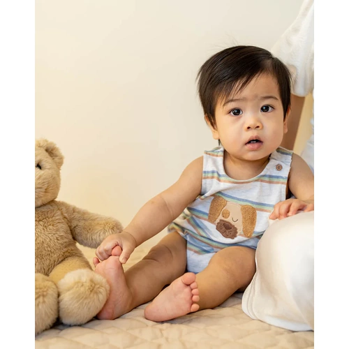 Wildlings Stripe Dog Bodysuit - Grey Marle Stripe