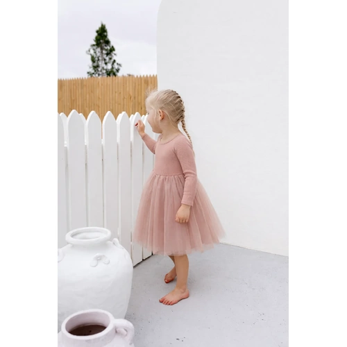 Long Sleeve Tulle Dress I Dusty Pink Sparkles