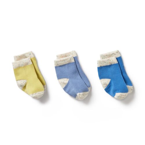 3 Pack Organic Baby Socks - Endive/Bluebell/Blue