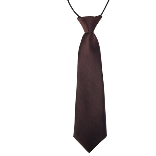 Silk Tie [Colour:Brown]
