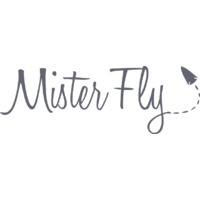 Mister Fly